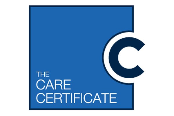 Care Certificate Standard 14: Handling Information